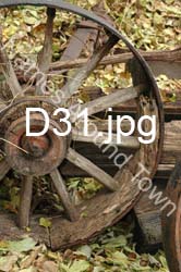 D31