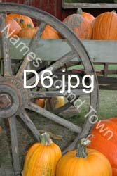 D6