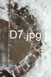 D7