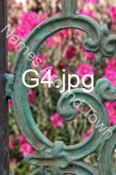 G4