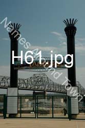 H61