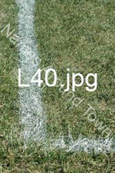 L40
