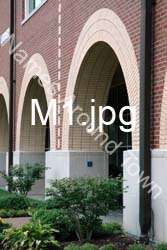 M1