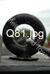 Q81