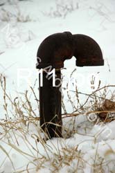 R11