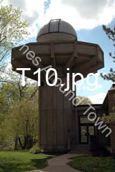 T10