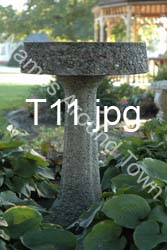 T11