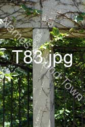 T83
