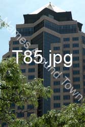 T85