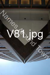 V81