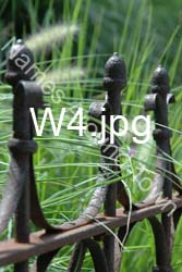 W4