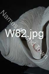 W82