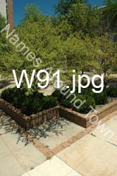 W91
