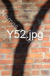 Y52