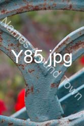 Y85