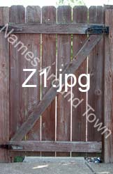 Z1