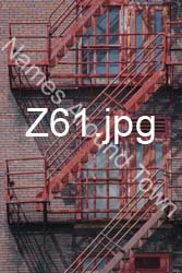 Z61