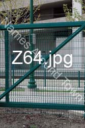 Z64