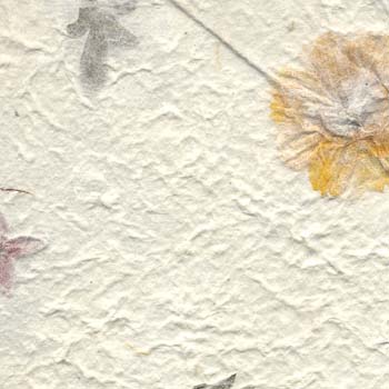 03-yellow marigold