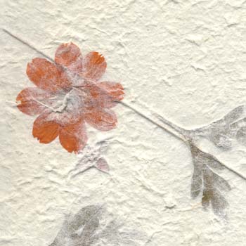 04-marigold garden