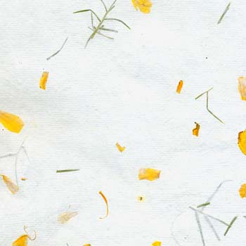 05-marigold petals