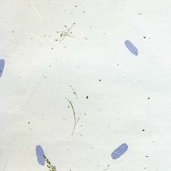 06-blue white tamarind