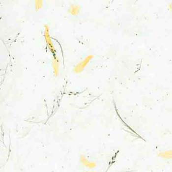 07-yellow white tamarind