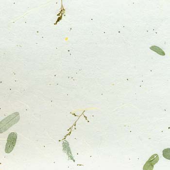 08- green white tamarind