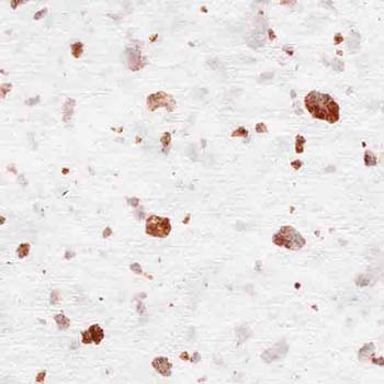42-copper metallic fleck