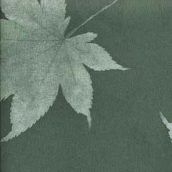 53-Green Maple