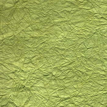 67- crinkled lettuce