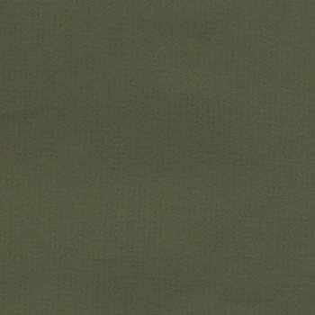 78- olive mi tientes