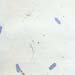06-blue white tamarind