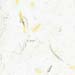 07-yellow white tamarind