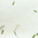 08- green white tamarind