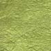 67- crinkled lettuce